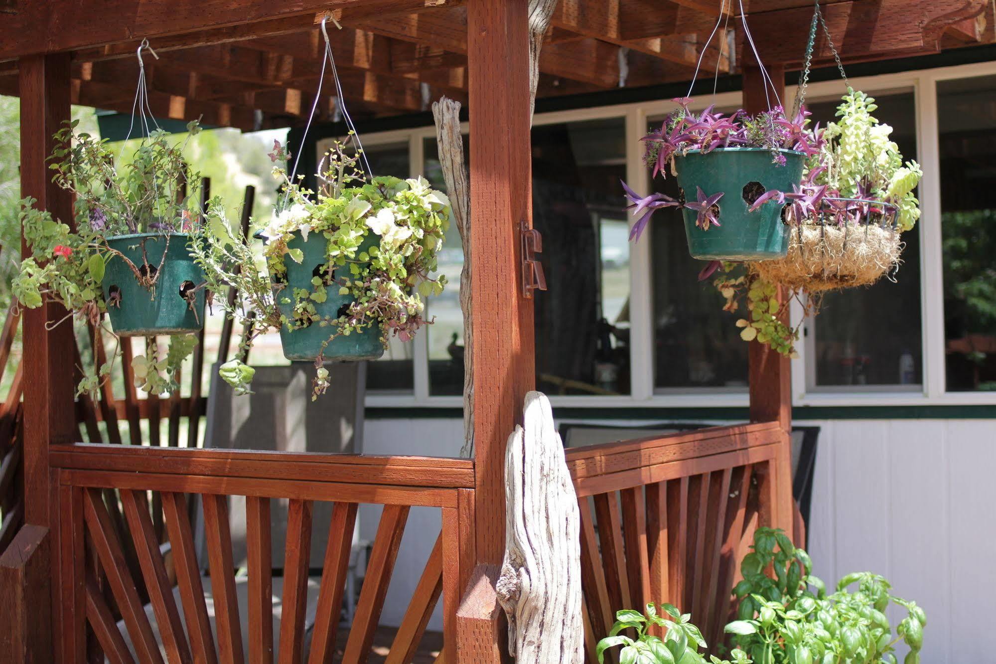 Historic Smith Hotel B&B Glendale Luaran gambar